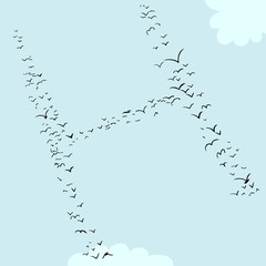 Bird Formation In H