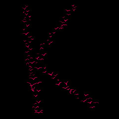 Bird Formation In K