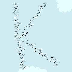 Bird Formation In K