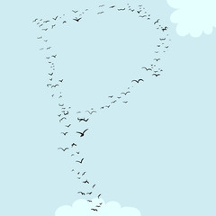 Bird Formation In P