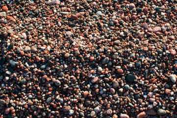 closeup of wet pebbles on a beach