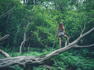 Fototapeta premium Barefoot young woman standing on fallen tree