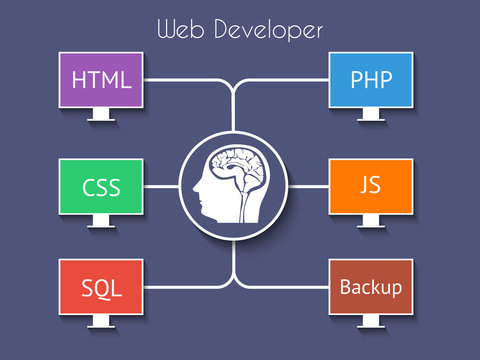 Web developer vector infographics on a blue background.
