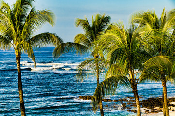 Fototapeta na wymiar Palm trees on an exotic beach.