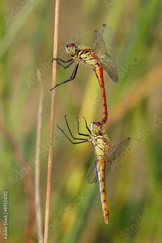 400_F_89556012_8N35QDCIwBzkcGZtQ8CW9tXCgXgEiL8h.jpg