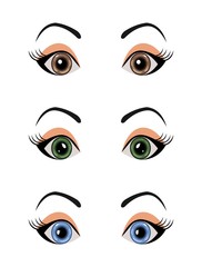 set female eyes isolated