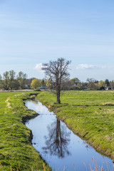 Fototapeta na wymiar small creek in rural landscape