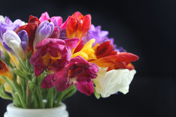 Colorful crocus in a vase. Spring flowers on a black background