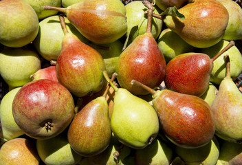 Pears still life, rustic country style.
