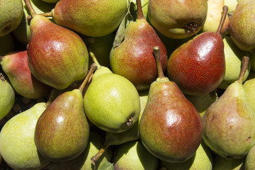 Pear still life, rustic country style.