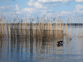 Entspannungsmomente am stillen See 