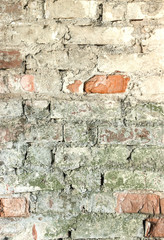 Vintage bricks background