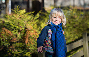 Portrait of adorable cute boy  in the beauty autumn park