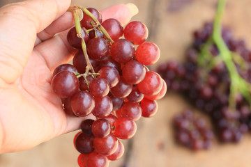 fruit fresh grapes