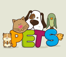Pet shop design.