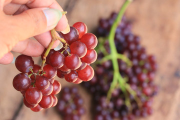 fruit fresh grapes