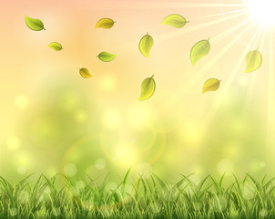 Obraz premium Autumn