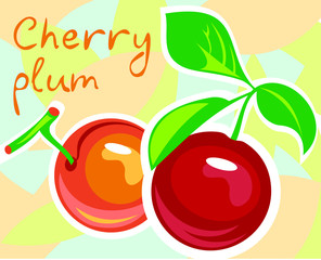 Cherry plum