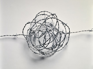 Tangle of Barbed Wire
