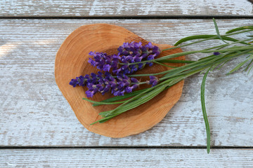 Blue purple lavender on a old white empty copy space shelves background