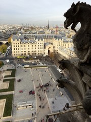 vue aerienne notre dame de Paris 