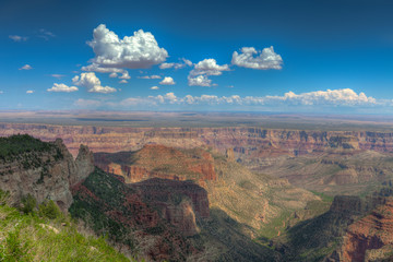 Arizona- Grand Canyon National Park- North Rim-near Point Imperial