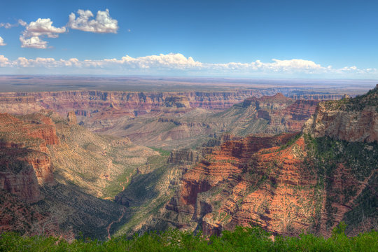 Arizona- Grand Canyon National Park- North Rim-near Point Imperial