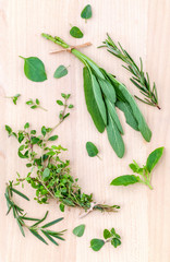 Fresh green herbs harvest from garden on wooden rustic backgroun