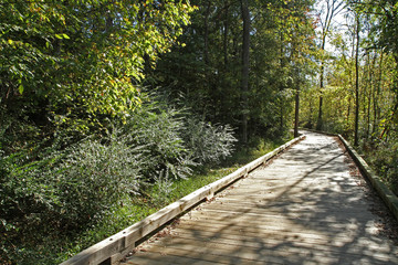 Boardwalk over wetlands