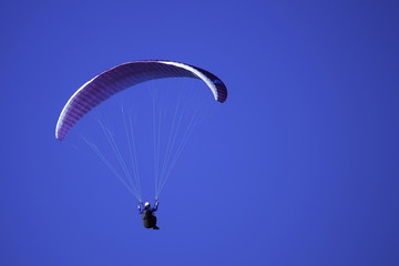 Paraplane