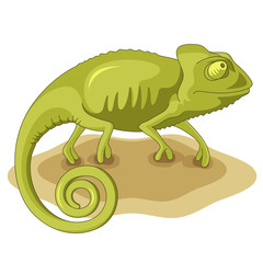 Chameleon 001