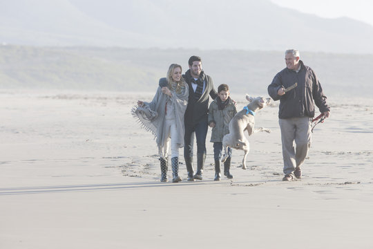 South Africa, Cape Town, family walking on the beach with dog