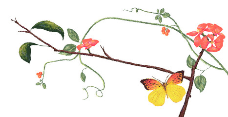 Illustration of nature