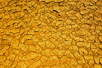 Barren brown dry cracked earth.