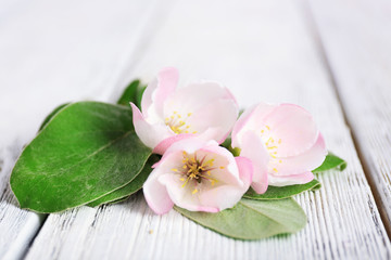 Apple blossom with leaves on wooden table