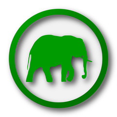 Elephant icon
