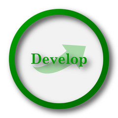Develop icon