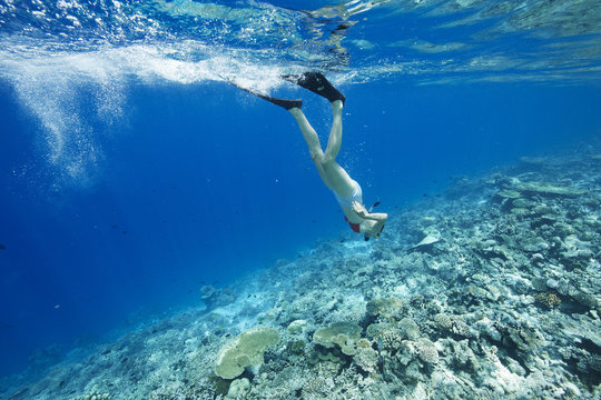 Maldives, woman snorkeling in the Indian Ocean
