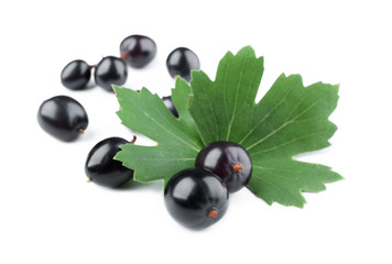 Heap of wild black currant with green leaves isolated on white
