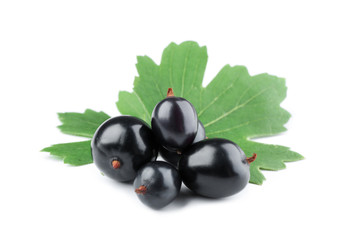 Heap of wild black currant with green leaves isolated on white
