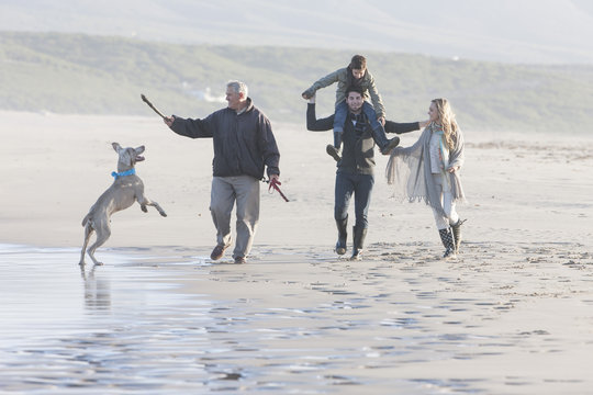 South Africa, Cape Town, family walking on the beach with dog