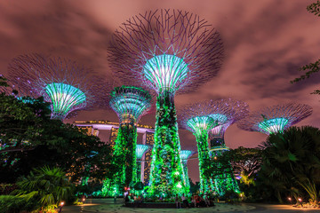 Singapore garden