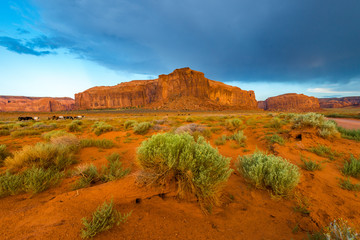 Sage brush in front of red rock formation landscape in Monument