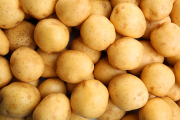 Young potatoes close up