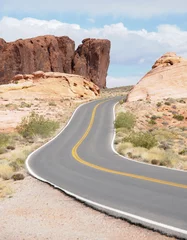 Foto op Aluminium Valley Road / Valley of Fire in Nevada © doncon402