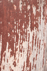 Wood old wall background