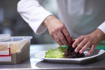chef in hotel kitchen preparing and decorating food