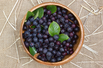 Ripe chokeberry or black rowanberry with green leaves in bamboo plate