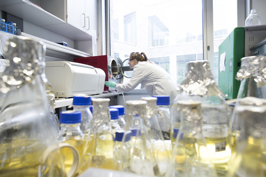 Young female scientist working at biological laboratory, looking in autoclave