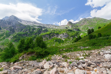 Fototapeta na wymiar Brook in the North Caucasus.